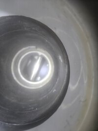 20250809_124642.jpg