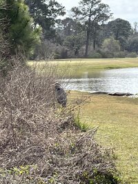 IMG_0682.jpeg