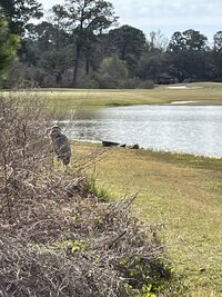 IMG_0681.jpeg