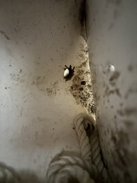 IMG_7497.jpeg