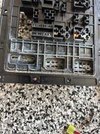 IMG_3977.jpeg
