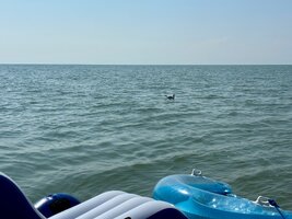 Empty Lake.jpg
