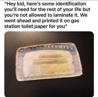 1755397220399.png