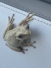IMG_5397.jpeg