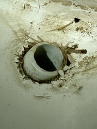 IMG_1971.jpeg