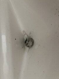 IMG_1977.jpeg