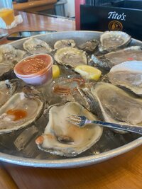 oysters.jpg