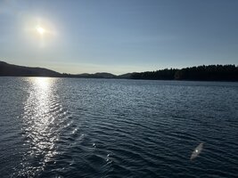 IMG_8687.jpeg