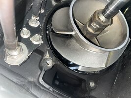 IMG_4304.jpeg