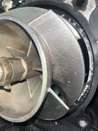 IMG_4305.jpeg