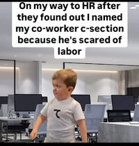 1000041795.jpg
