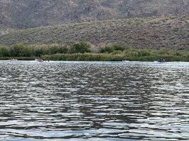 IMG_0373.jpeg