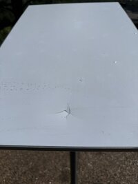 IMG_8668.jpeg