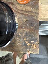 IMG_9320.jpeg
