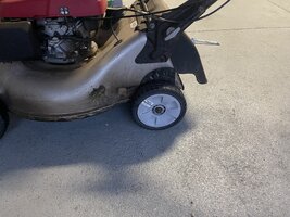 IMG_8966.jpg