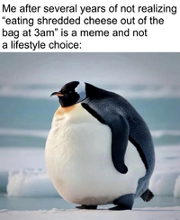 1756172264755.png