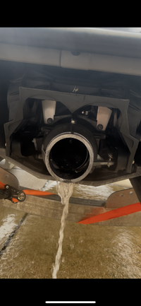 IMG_1910.png
