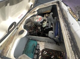 IMG_1345.jpeg