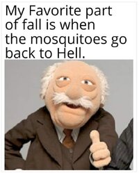 1000042192.jpg