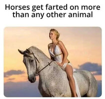 1000042156.jpg