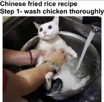 C47450F2-3DDD-4946-A141-D6251D16D591.jpeg