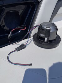 IMG_9834.jpeg IMG_9834.jpeg