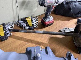 IMG_5634.jpeg