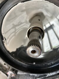 IMG_2181.jpeg