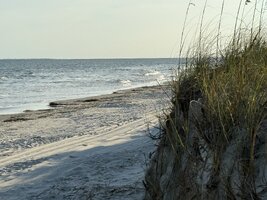 IMG_0526.jpeg