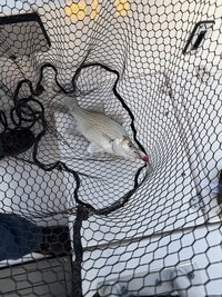 IMG_8883.jpeg IMG_8883.jpeg