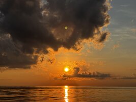 IMG_8338.jpeg