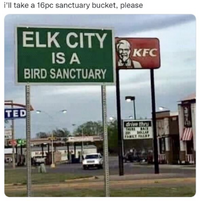 1757798543891.png