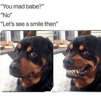 1757888036344.png