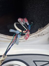 Yamaha RGB Speaker Wire.jpg