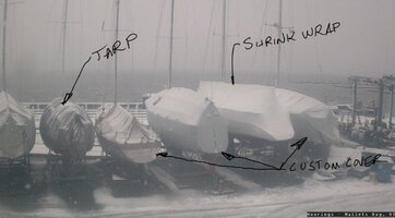 20250920_070644.jpg