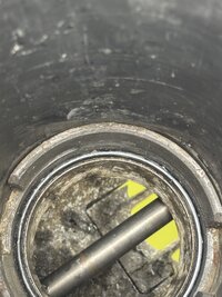 IMG_9994.JPEG