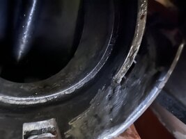 IMG_5268.jpeg