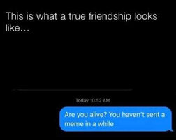 1000042926.jpg