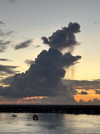 IMG_0114.jpg