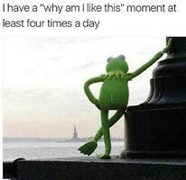 1000043156.jpg