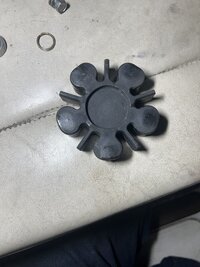 IMG_4062.jpeg