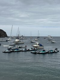 IMG_0150.jpeg