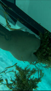 IMG_1476.jpeg