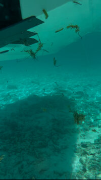 IMG_1477.jpeg