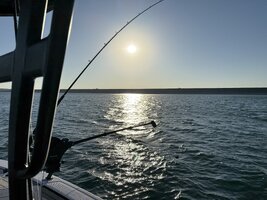 IMG_9019.jpeg IMG_9019.jpeg