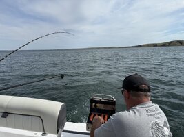 IMG_9029.jpeg