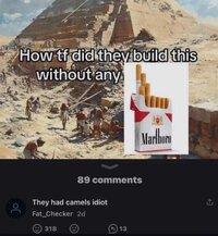 1000043485.jpg