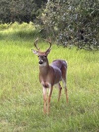 IMG_0284.jpeg