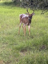 IMG_0286.jpeg