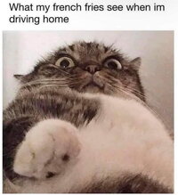8DFFAE53-8BEC-40E0-9AC1-C98679D25C33.jpeg